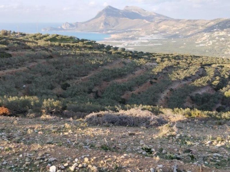 Phalasarna Kreta, Phalasarna: Grundstück zum Verkauf in Falassarna, Chania Grundstück kaufen